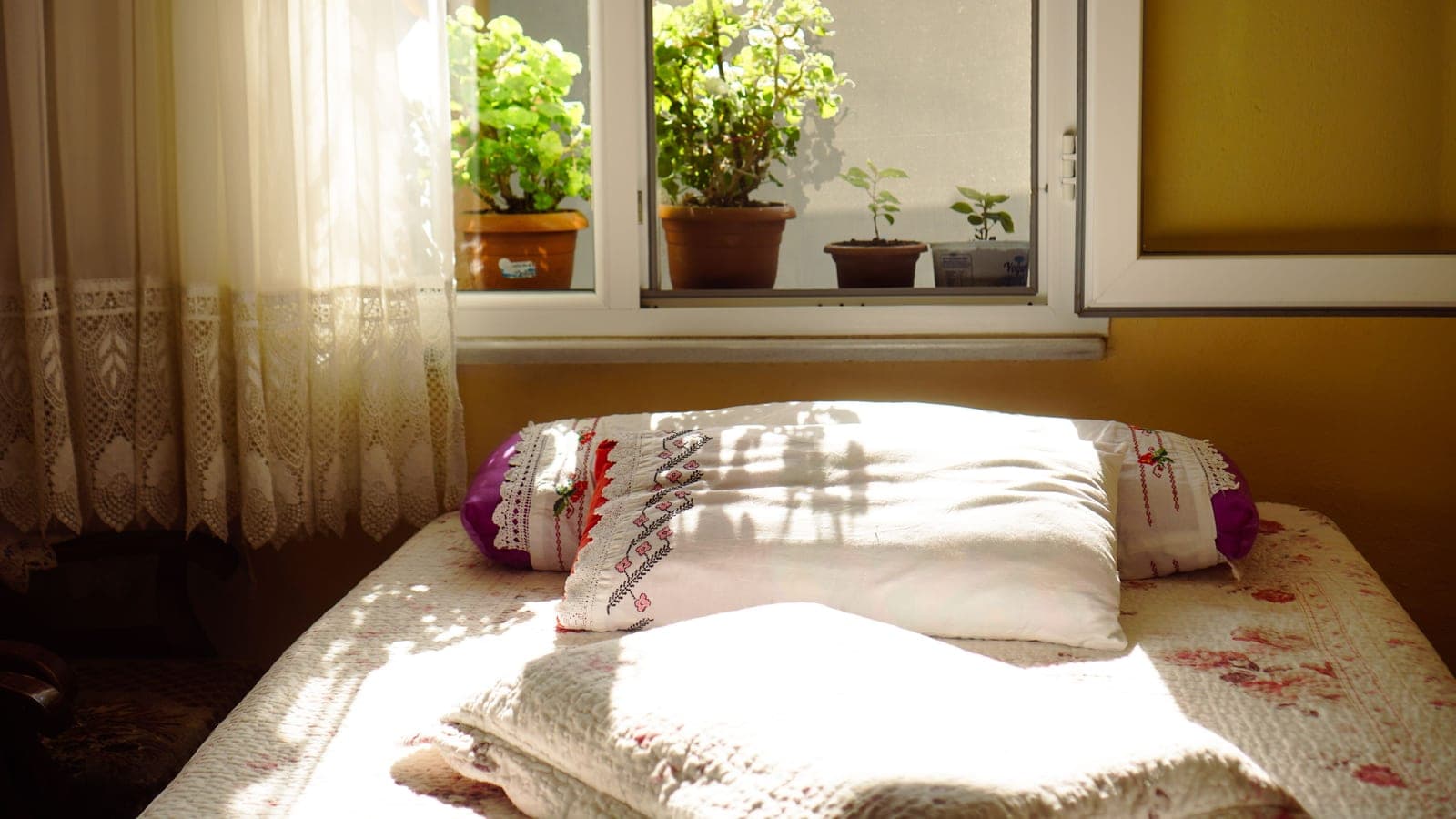 Morning light across a made bed beside a window in an ordinary bedroom